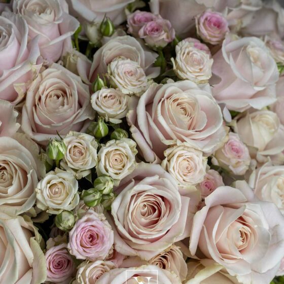 Bouquet de roses par Narmino, pour toutes vos livraisons de fleurs à Monaco