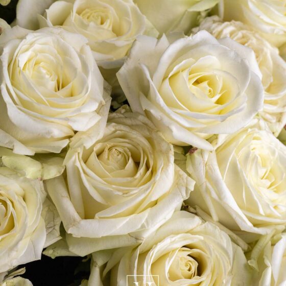 Bouquet de roses blanches par Narmino, fleuriste à Monaco